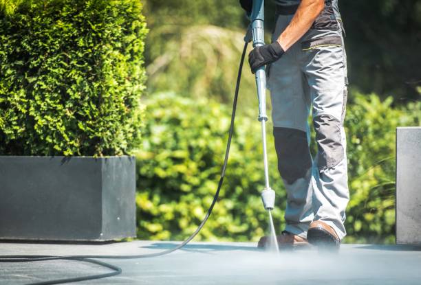 Best Roof Washing  in Hollandale, MS