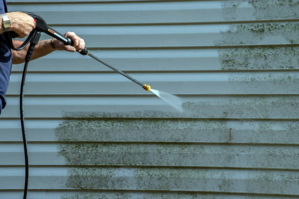 Best Parking Lot and Garage Cleaning  in Hollandale, MS